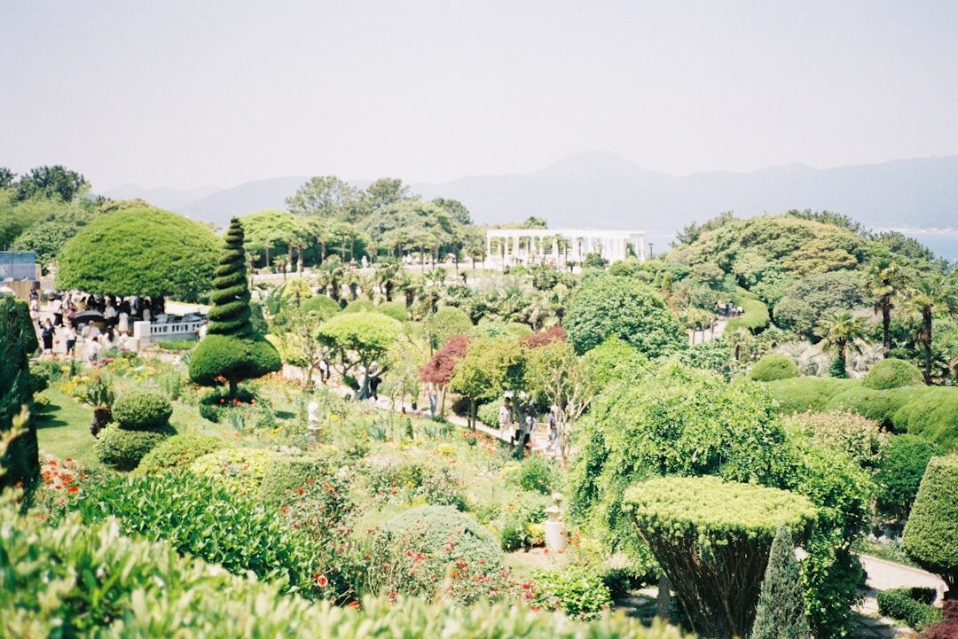 celebrity home garden view